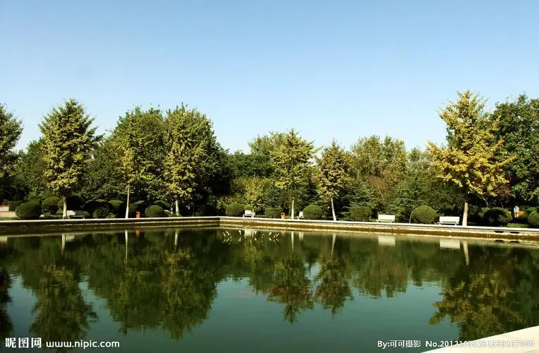 余姚城市绿化带种植什么植物好