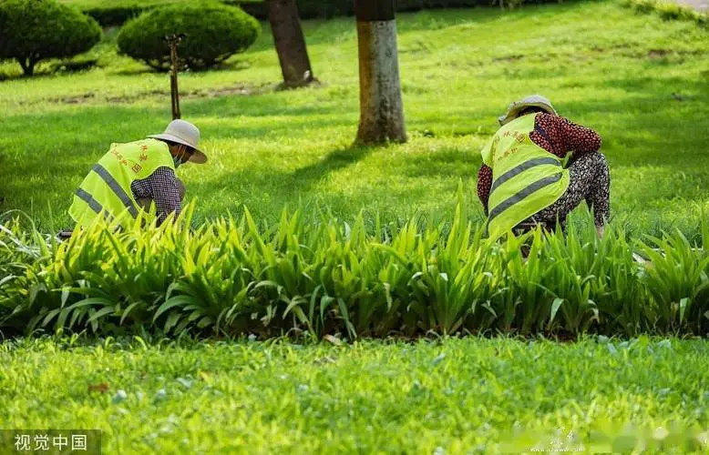 现代主义园林景观设计风格