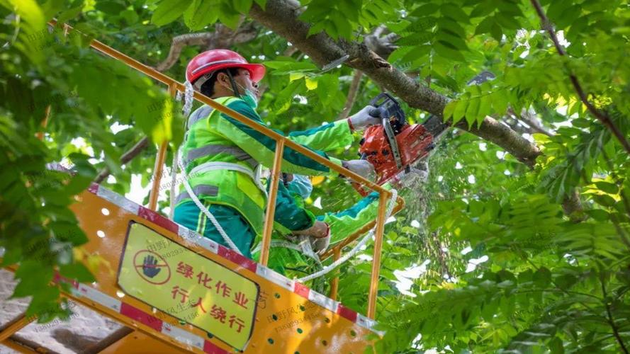 园林绿化工程师报考条件有哪些