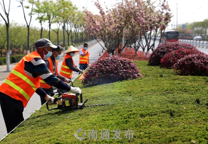 绿化工程在哪儿找项目