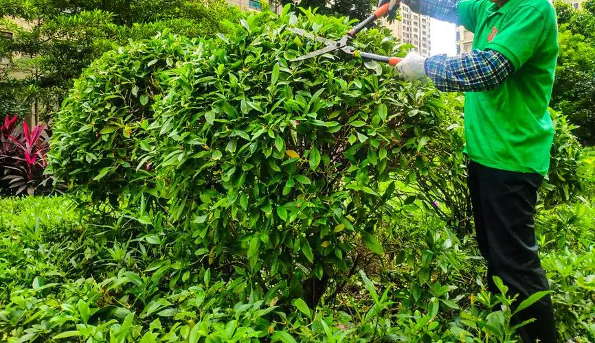现代园林景观设计基础